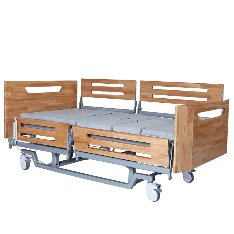 Maidesite E102 Multifunctional Electric Nursing Bed